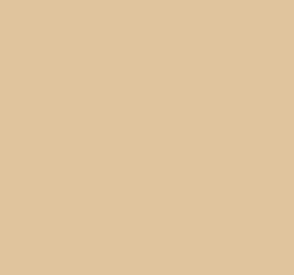 Ral 1015 Light Ivory Interior / Exterior Paint - Quick-Drying, Durable, & Precision Application
