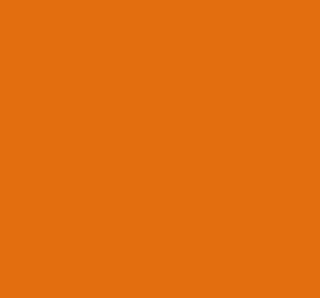 Ral 2012 Salmon Orange Interior / Exterior Paint - Quick-Drying, Durable, & Precision Application