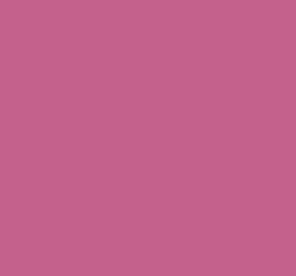 Ral 4004 Claret Violet Interior / Exterior Paint - Quick-Drying, Durable, & Precision Application