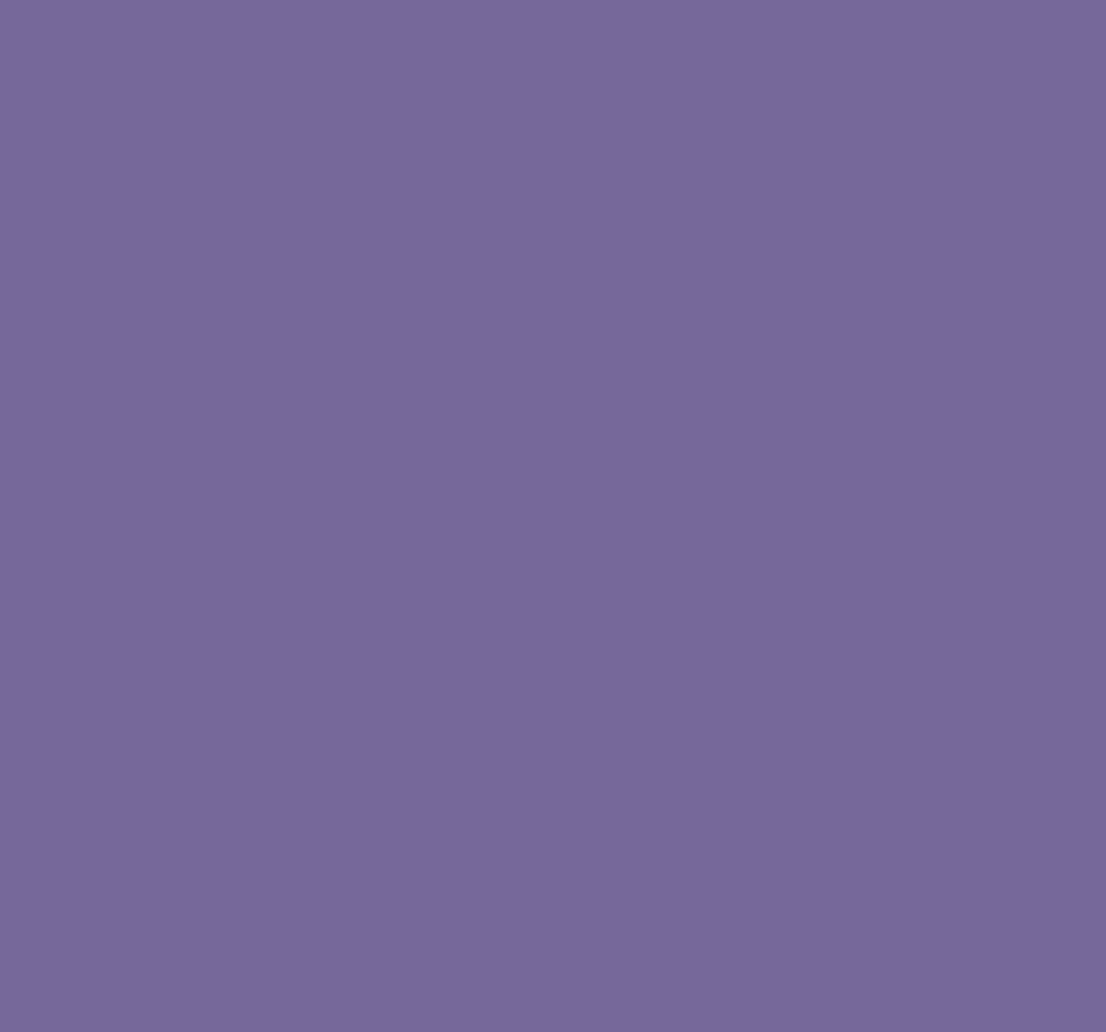 Ral 4006 Traffic Purple Interior / Exterior Paint - Quick-Drying, Durable, & Precision Application