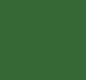 Ral 6002 Leaf Green Interior / Exterior Paint - Quick-Drying, Durable, & Precision Application