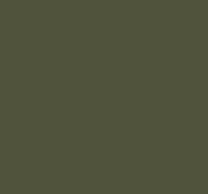 Ral 6004 Blue Green Interior / Exterior Paint - Quick-Drying, Durable, & Precision Application