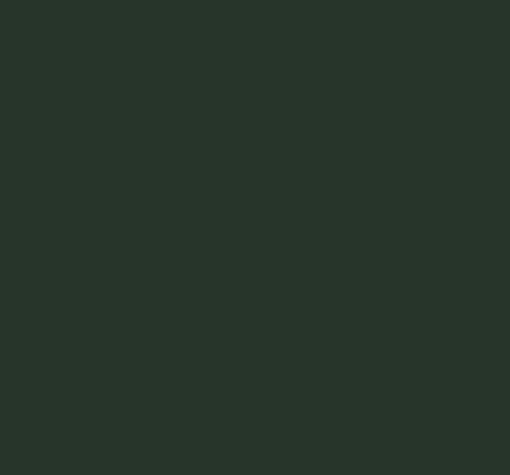 Ral 6010 Grass Green Interior / Exterior Paint - Quick-Drying, Durable, & Precision Application