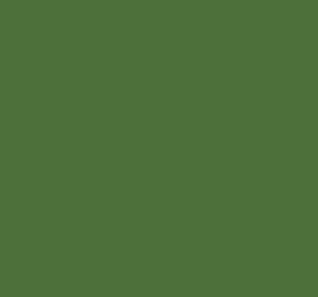 Ral 6011 Reseda Green Interior / Exterior Paint - Quick-Drying, Durable, & Precision Application