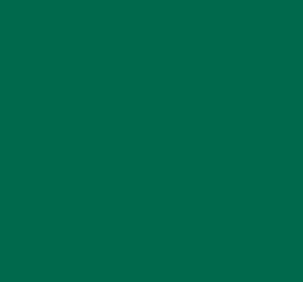 Ral 6017 May Green Interior / Exterior Paint - Quick-Drying, Durable, & Precision Application
