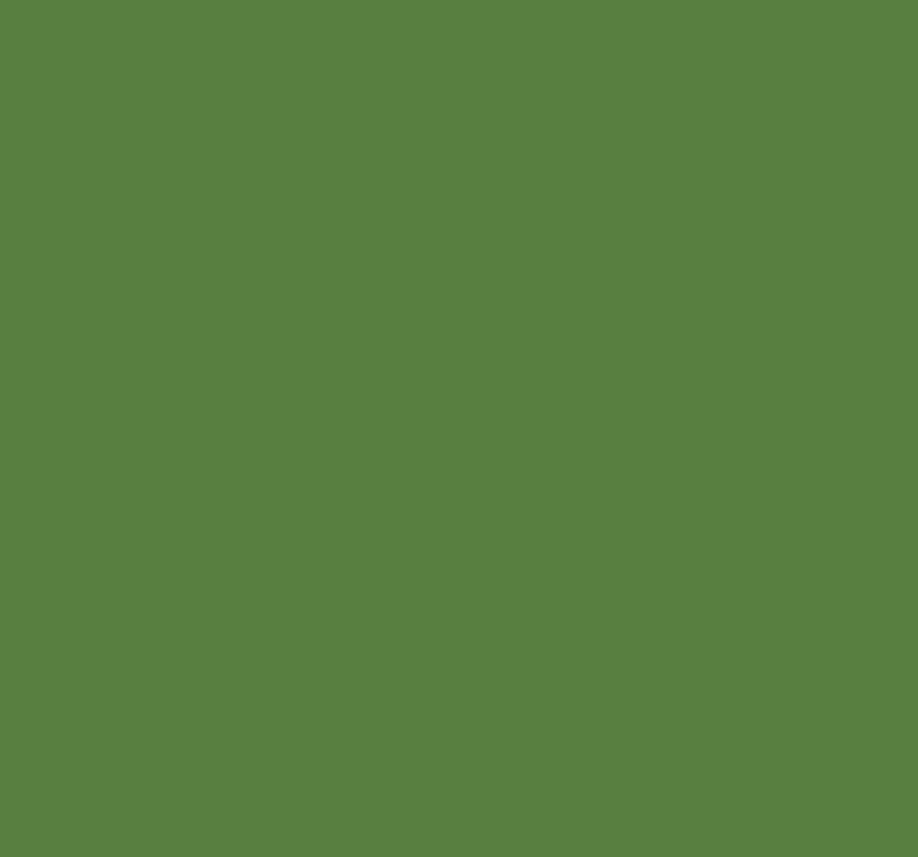 Ral 6018 Yellow Green Interior / Exterior Paint - Quick-Drying, Durable, & Precision Application
