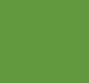Ral 6019 Pastel Green Interior / Exterior Paint - Quick-Drying, Durable, & Precision Application