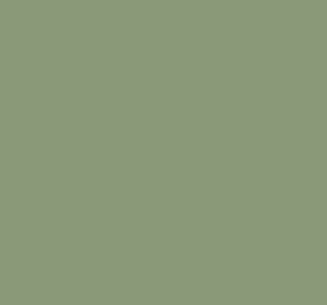 Ral 6022 Brown Olive Interior / Exterior Paint - Quick-Drying, Durable, & Precision Application