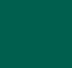 Ral 6027 Light Green Interior / Exterior Paint - Quick-Drying, Durable, & Precision Application