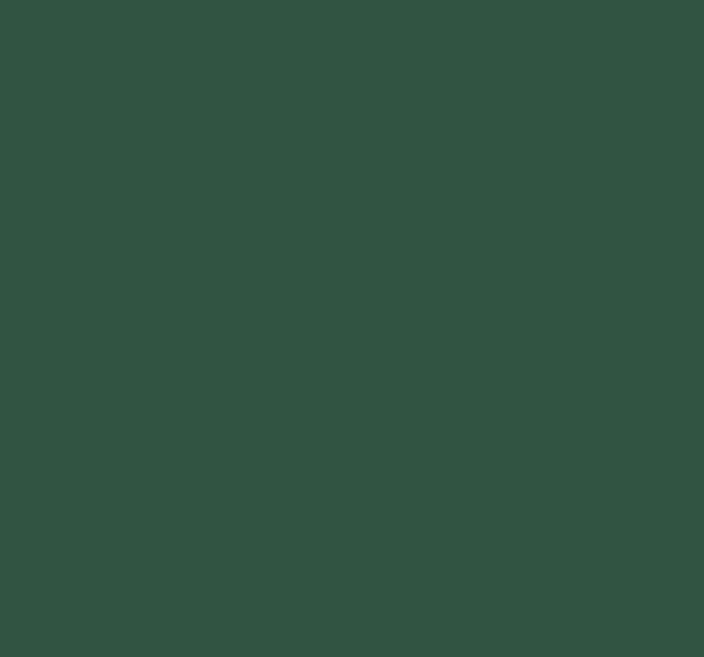 Ral 6029 Mint Green Interior / Exterior Paint - Quick-Drying, Durable, & Precision Application
