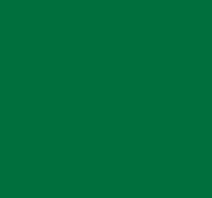 Ral 6032 Signal Green Interior / Exterior Paint - Quick-Drying, Durable, & Precision Application