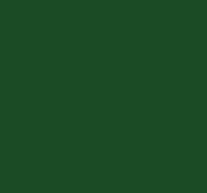 Ral 6036 Pearl Opal Green Interior / Exterior Paint - Quick-Drying, Durable, & Precision Application