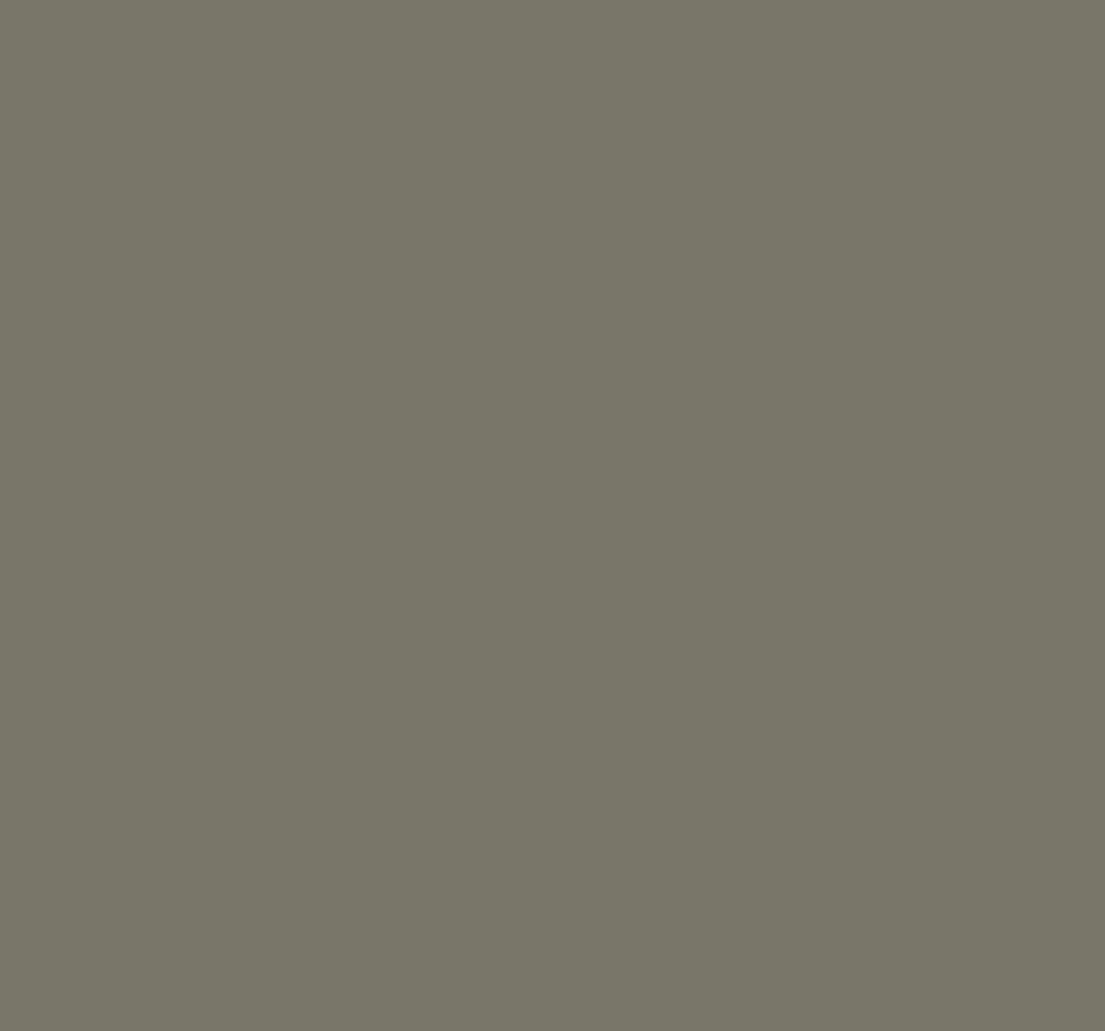 Ral 7004 Signal Grey Interior / Exterior Paint - Quick-Drying, Durable, & Precision Application