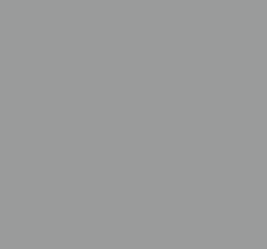 Ral 7005 Mouse Grey Interior / Exterior Paint - Quick-Drying, Durable, & Precision Application