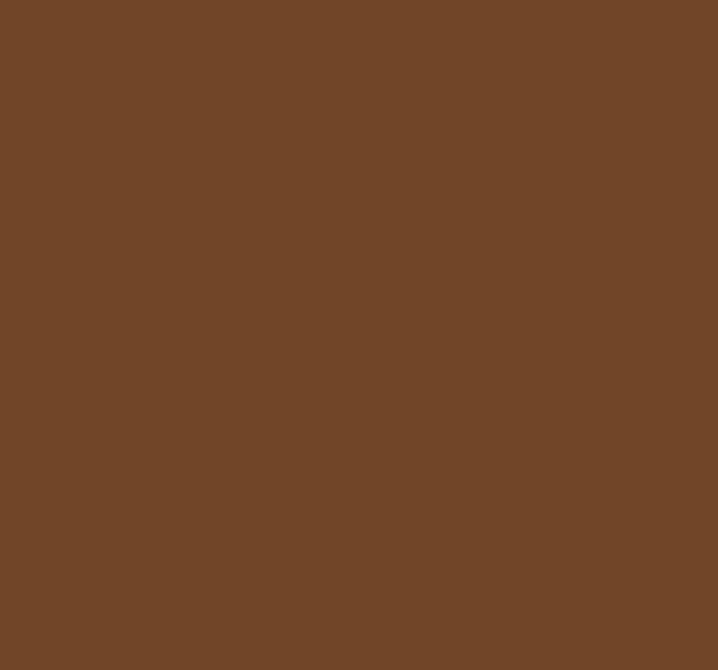 Ral 8008 Olive Brown Interior / Exterior Paint - Quick-Drying, Durable, & Precision Application