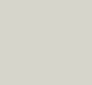 Ral 9003 Signal White Interior / Exterior Paint - Quick-Drying, Durable, & Precision Application