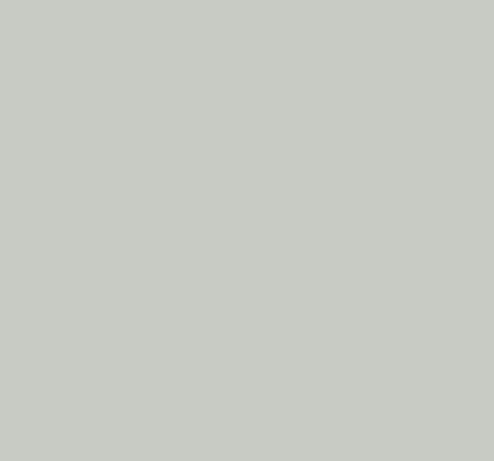 Ral 9022 Pearl Light Grey Interior / Exterior Paint - Quick-Drying, Durable, & Precision Application