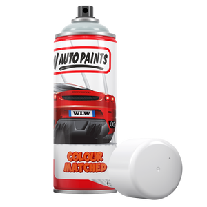 Audi 100 Gomera Pearl / Gomera Perl 9058,Z6P,LZ6P Touch Up Paint