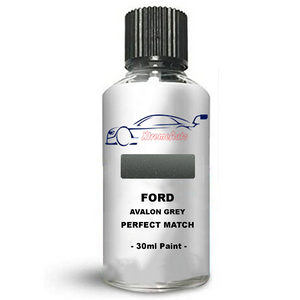 Ford Fiesta Avalon Grey 3 | High-Quality and Easy to Use