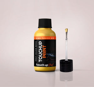 Lamborghini All Models Titanium Metallic 2000 Car Touchup Paint 210600